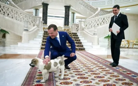 Türkmenistan’da Köpekler İçin Yapılan Devlet Sarayı: Lüks ve Konforun Yeni Adı
