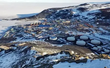 Antarktika’da Sadece 11 Bebek Doğdu: Hepsi Hayatta ve Sağlıklı