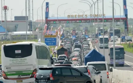 Endonezya’da Trafik Cezalarından Kurtulmanın İlginç Yolu: Ağaç Dikmek