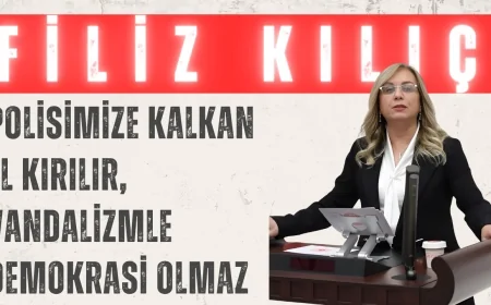 MHP’li Filiz Kılıç: ‘Polisimize kalkan el kırılır, vandalizmle demokrasi olmaz’