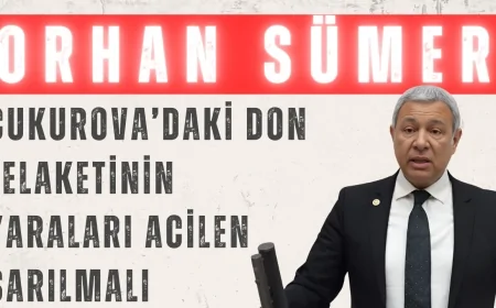 CHP’li Orhan Sümer: ‘Çukurova’daki don felaketinin yaraları acilen sarılmalı’