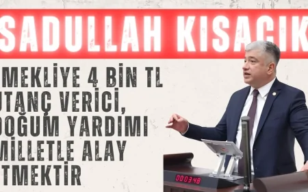 DEVA Partili Sadullah Kısacık: ‘Emekliye 4 bin TL utanç verici, doğum yardımı milletle alay etmektir’