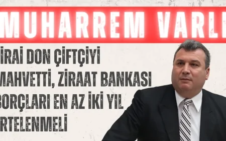 MHP Adana Milletvekili Muharrem Varlı: 'Zirai don çiftçiyi mahvetti, Ziraat Bankası borçları en az iki yıl ertelenmeli'