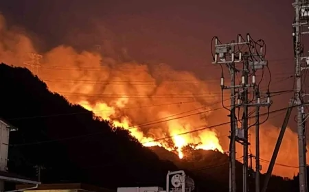 Güney Kore'de 27 bin kişi tahliye edildi, tarihi yapılar kül oldu: Orman yangınlarında ölü sayısı artıyor