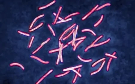 Virüs Boyutunda Piksel: Çinli Bilim İnsanlarından Rekor Yoğunlukta Nano LED Ekran