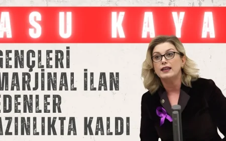 CHP’li Asu Kaya: 'Gençleri marjinal ilan edenler azınlıkta kaldı'