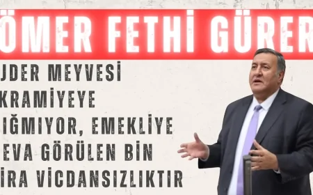 CHP’li Ömer Fethi Gürer: “Ejder meyvesi ikramiyeye sığmıyor, emekliye reva görülen bin lira vicdansızlıktır”