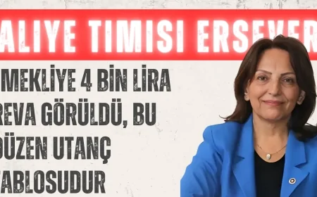 Aliye Timisi Ersever: ‘Emekliye 4 Bin Lira Reva Görüldü, Bu Düzen Utanç Tablosudur’