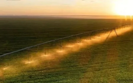 Sahra Çölü'nde 20 Bin Hektarlık Tarım Hamlesi: Türk Girişimcilerden Çarpıcı Proje