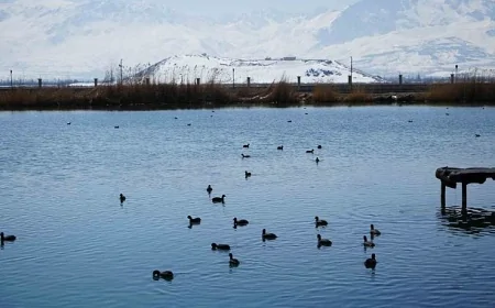 Türkiye’nin Su Gücü: 100 Yılda 17 Binden Fazla Tesisle Tatlı Su Kaynakları Koruma Altında
