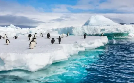 Antarktika’daki dev okyanus akıntısı 2050’ye kadar %20 yavaşlayabilir: Küresel iklim ve gıda zinciri risk altında