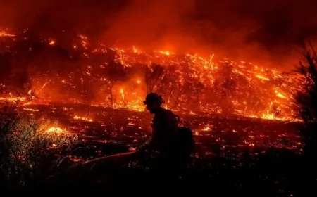 Orman Yangınları 2025'e Erken Başladı: Uzmanlar İklim Krizine Dikkat Çekiyor