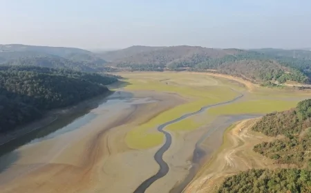 İstanbul Barajlarında Su Seviyesi Yüzde 36’ya Geriledi: Uzmanlar Kuraklık Uyarısı Yaptı