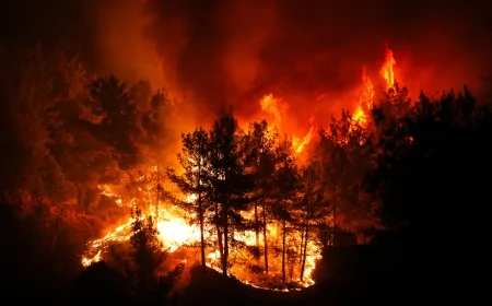 Orman Yangınları İçin Alarm Zamanı: Uzmanlar Uyarıyor, Herkesin Alabileceği 7 Kritik Önlem