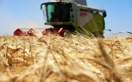 Kuraklık alarmı büyüyor: Konya Ovası’nda hububat rekoltesi yüzde 35 düştü