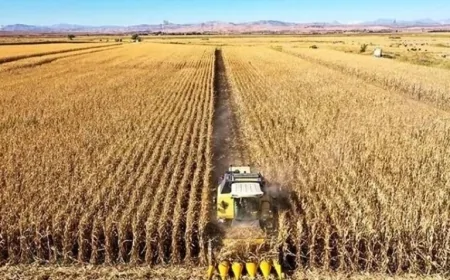 Tarımsal ihracat ilk 3 ayda rekor kırdı: En çok satılan ürünler belli oldu