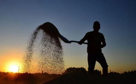 Tarımda genç istihdamı düşüyor: Köylerde çalışan sayısı yüzde 15 azaldı