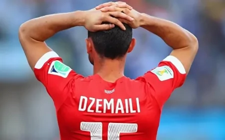 Galatasaray'ın eski oyuncusu Dzemaili'den olay yorum: 'Başka ligde olsa dünyanın en büyüğü olurdu'