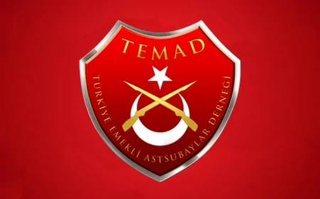 TEMAD'dan Aykut Erdoğdu'ya sert tepki: 'Kast sistemi anlayışının dışa vurumu'