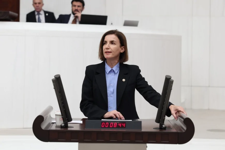 CHP’li Aliye Coşar: 'Kadın hakları AKP iktidarında geri götürülüyor, İstanbul Sözleşmesi yeniden uygulanmalı'