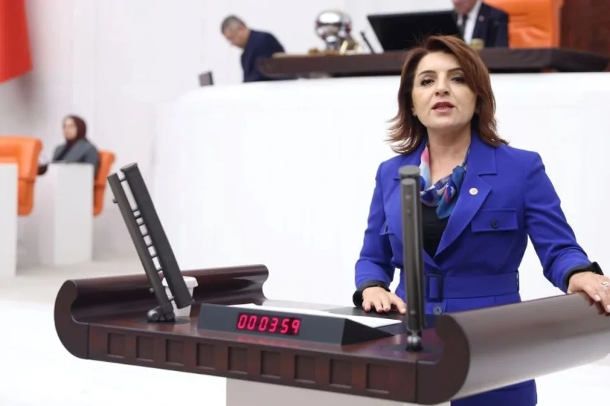 CHP’li Gülcan Kış: 'Yanlış ekonomi politikaları halkı yoksulluğa mahkûm etti'