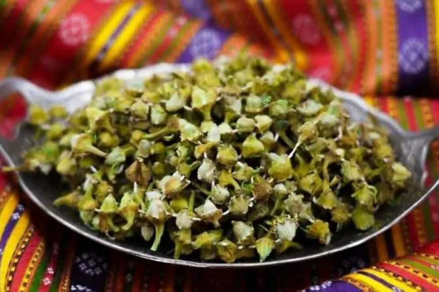 Flower Okra broke a record in Amasya: its weight reached 3,500 TL