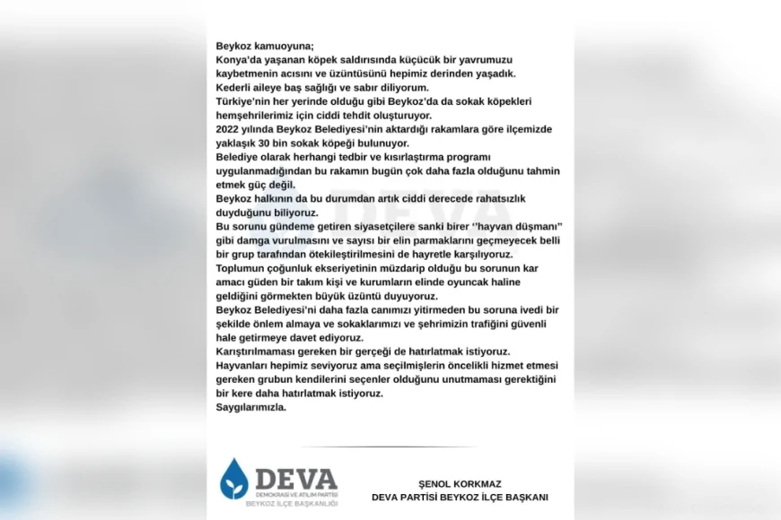 DEVA Partisi, Beykoz’daki Sokak Köpekleri Sorununu Gündeme Taşıdı