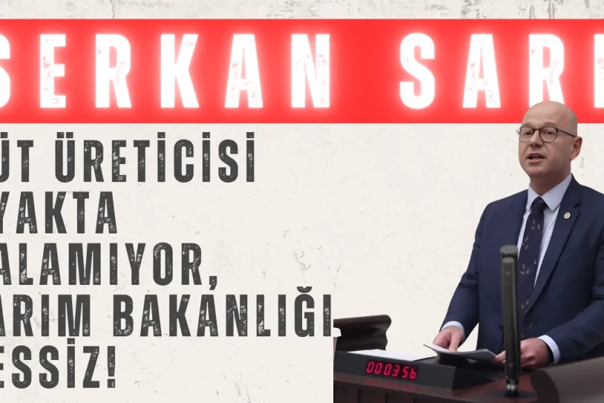 CHP’li Serkan Sarı: ‘Süt üreticisi ayakta kalamıyor, Tarım Bakanlığı sessiz!’