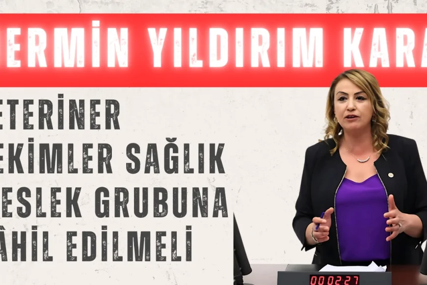 CHP’li Nermin Yıldırım Kara: ‘Veteriner hekimler sağlık meslek grubuna dâhil edilmeli’
