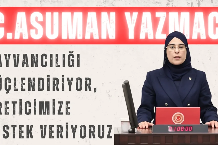 AK Partili Cevahir Asuman Yazmacı: ‘Hayvancılığı güçlendiriyor, üreticimize destek veriyoruz’