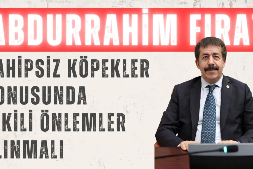 AK Partili Abdurrahim Fırat: ‘Sahipsiz köpekler konusunda etkili önlemler alınmalı’
