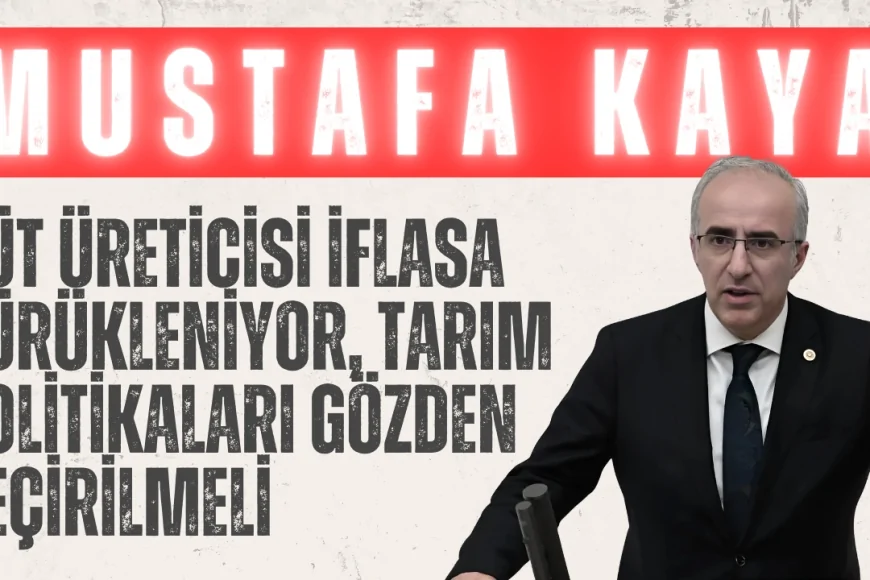 Saadet Partili Mustafa Kaya: ‘Süt üreticisi iflasa sürükleniyor, tarım politikaları gözden geçirilmeli’
