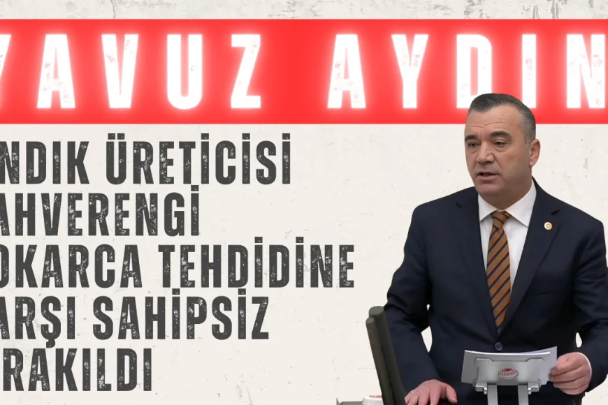 İYİ Partili Yavuz Aydın: ‘Fındık üreticisi kahverengi kokarca tehdidine karşı sahipsiz bırakıldı’