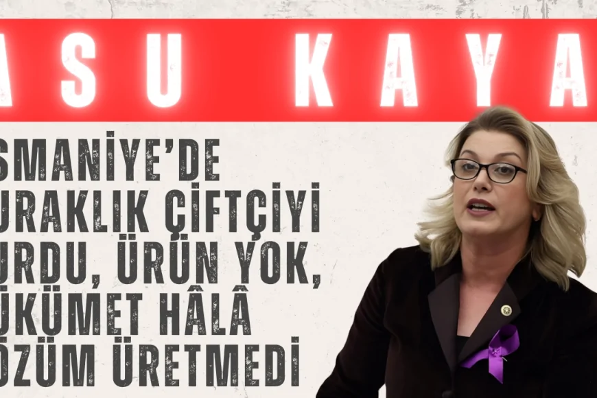 CHP’li Asu Kaya: ‘Osmaniye’de kuraklık çiftçiyi vurdu, ürün yok, hükümet hâlâ çözüm üretmedi’