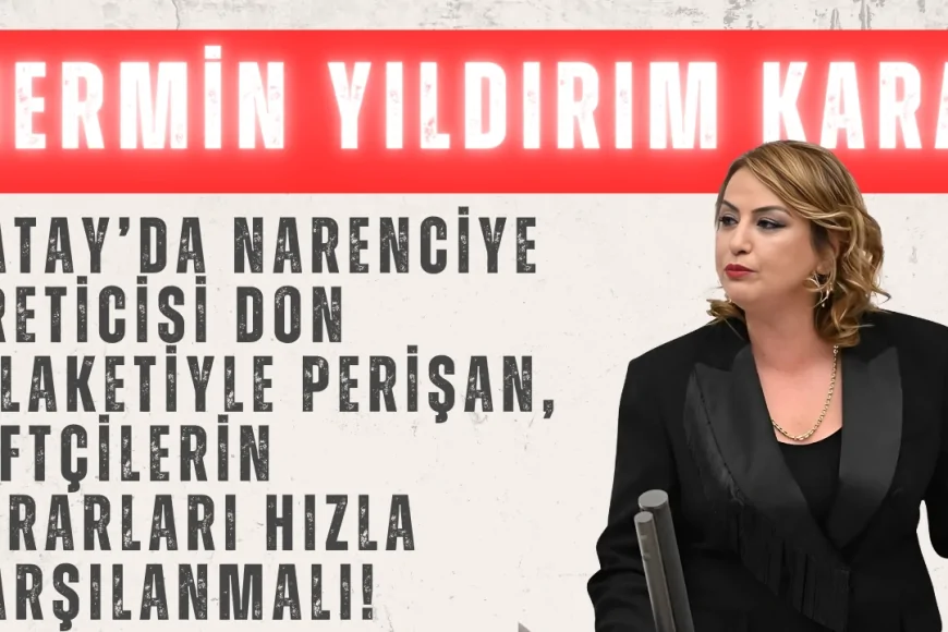 CHP’li Nermin Yıldırım Kara: ‘Hatay’da narenciye üreticisi don felaketiyle perişan, çiftçilerin zararları hızla karşılanmalı!’
