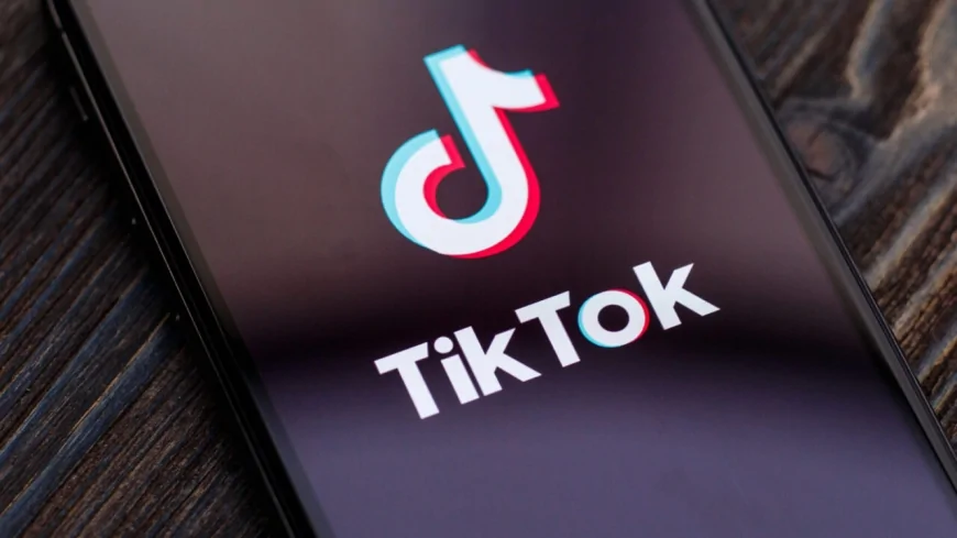 Reddit'in kurucu ortağı, TikTok'u satın almak için görüşmelere başladı