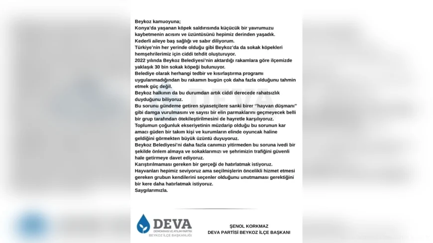 DEVA Partisi, Beykoz’daki Sokak Köpekleri Sorununu Gündeme Taşıdı