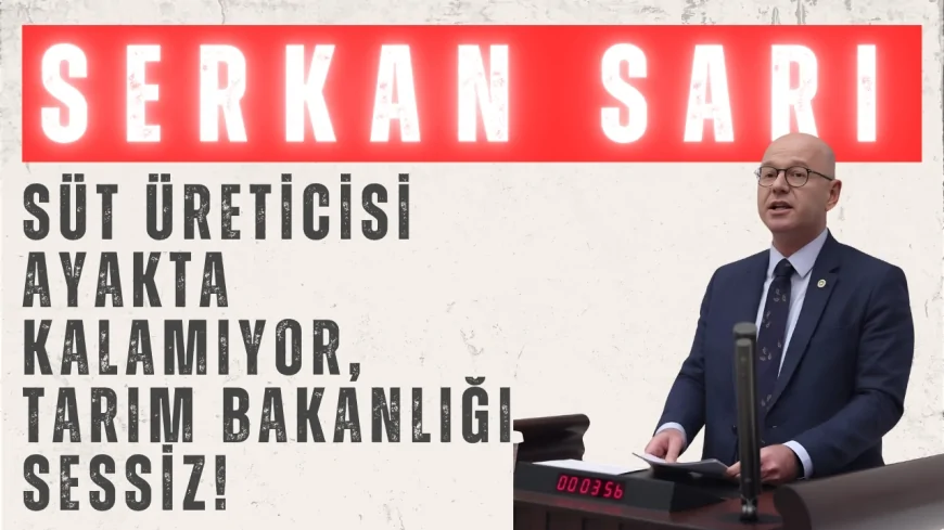 CHP’li Serkan Sarı: ‘Süt üreticisi ayakta kalamıyor, Tarım Bakanlığı sessiz!’