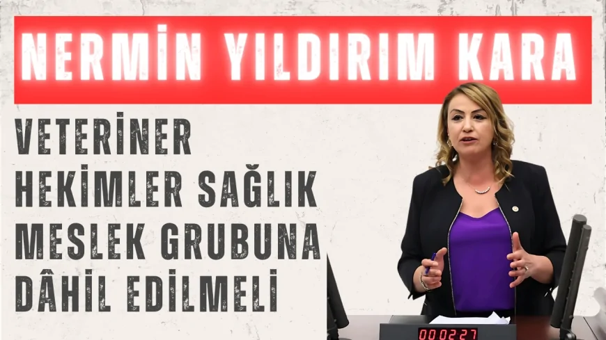 CHP’li Nermin Yıldırım Kara: ‘Veteriner hekimler sağlık meslek grubuna dâhil edilmeli’