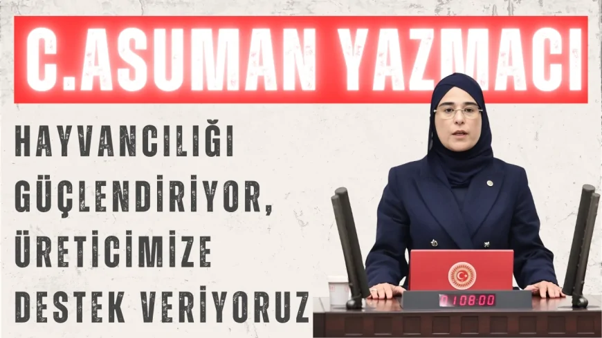 AK Partili Cevahir Asuman Yazmacı: ‘Hayvancılığı güçlendiriyor, üreticimize destek veriyoruz’