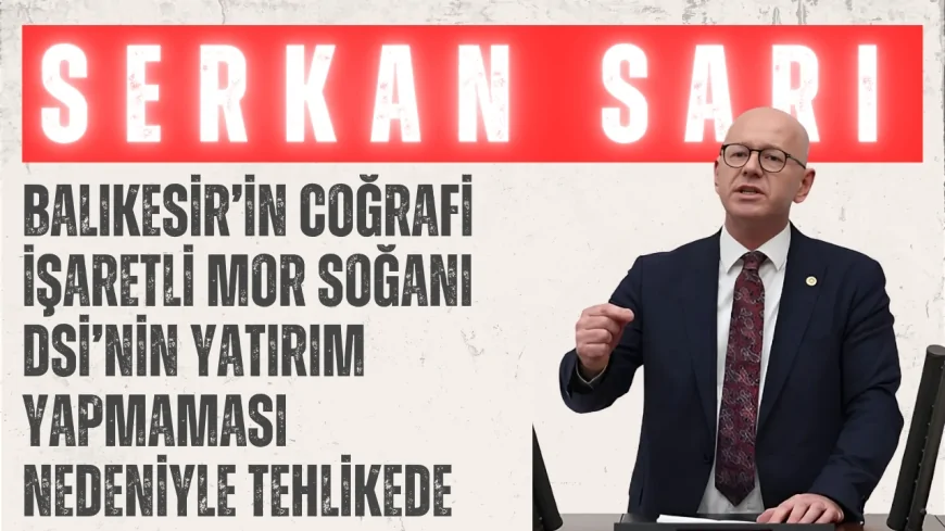 CHP’li Serkan Sarı: ‘Balıkesir’in coğrafi işaretli mor soğanı DSİ’nin yatırım yapmaması nedeniyle tehlikede’