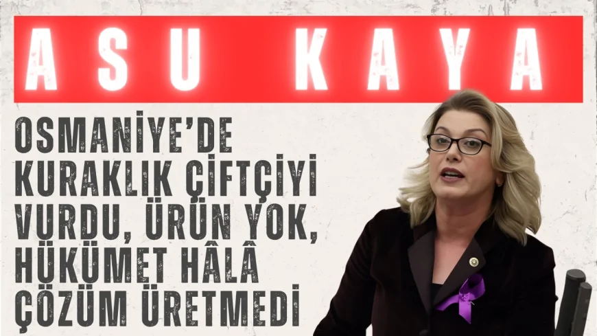 CHP’li Asu Kaya: ‘Osmaniye’de kuraklık çiftçiyi vurdu, ürün yok, hükümet hâlâ çözüm üretmedi’