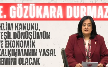 AK Parti’li Emel Gözükara Durmaz: “İklim Kanunu, yeşil dönüşümün ve ekonomik kalkınmanın yasal zemini olacak”