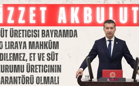 CHP’li Akbulut: ‘Süt üreticisi bayramda 10 liraya mahkûm edilemez, Et ve Süt Kurumu üreticinin garantörü olmalı’