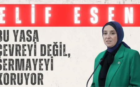 DEVA Partili Esen’den İklim Kanunu’na sert eleştiri: “Bu yasa çevreyi değil, sermayeyi koruyor”