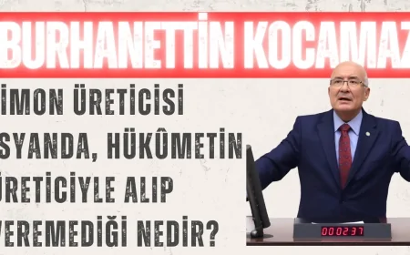 İYİ Partili Kocamaz: ‘Limon üreticisi isyanda, Hükûmetin üreticiyle alıp veremediği nedir?’