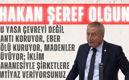 İYİ Partili Olgun: “Bu yasa çevreyi değil rantı koruyor, Eber Gölü kuruyor, madenler büyüyor; iklim bahanesiyle şirketlere imtiyaz veriyorsunuz”