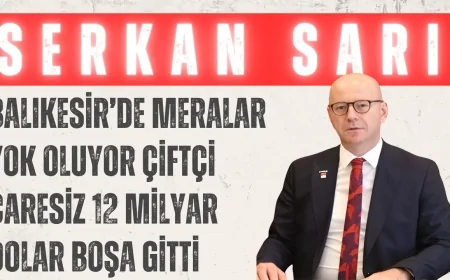 CHP’li Sarı: ‘Balıkesir’de meralar yok oluyor, çiftçi çaresiz, 12 milyar dolar boşa gitti’