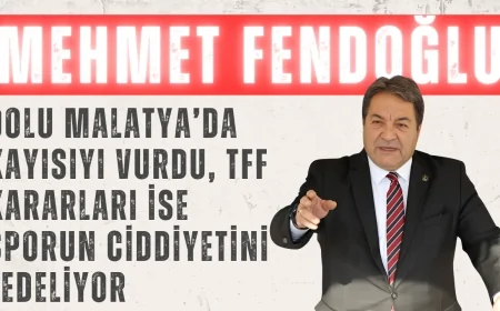 MHP’li Fendoğlu: ‘Dolu Malatya’da kayısıyı vurdu, TFF kararları ise sporun ciddiyetini zedeliyor’