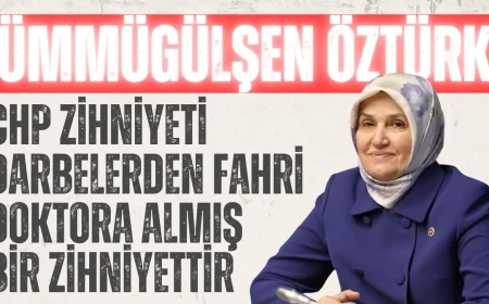 AK Parti’li Öztürk: ‘CHP zihniyeti darbelerden fahri doktora almış bir zihniyettir’